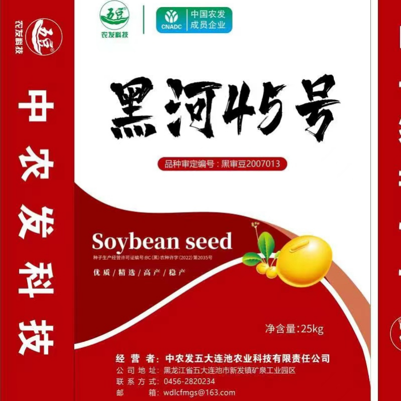 大豆种子